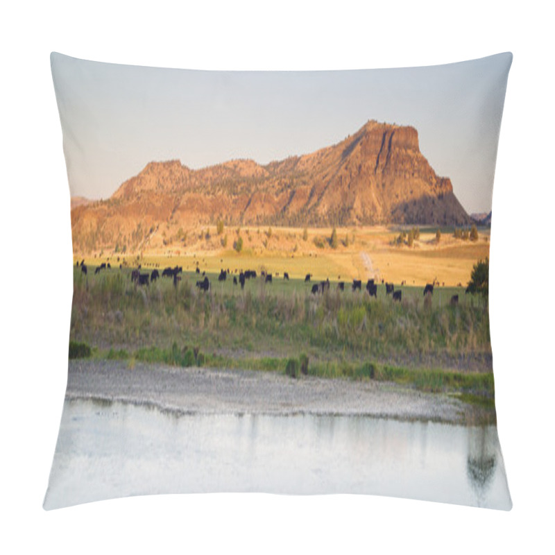 Personality  Desert River Ranch Black Angus Cattle Livestock Pillow Covers