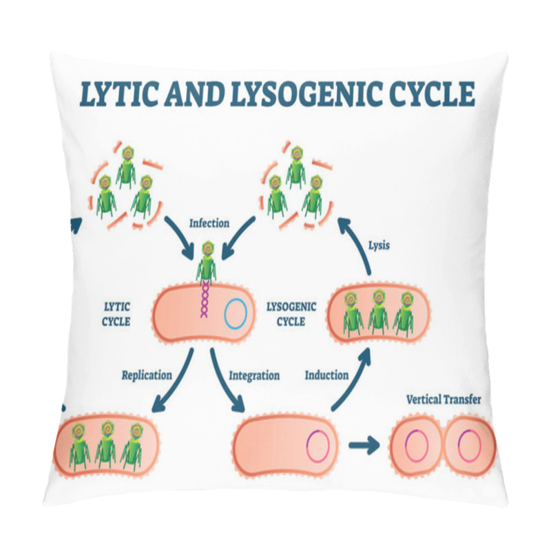 Personality  Lytic And Lysogenic Cycle Vector Illustration. Labeled Educational Scheme. Pillow Covers