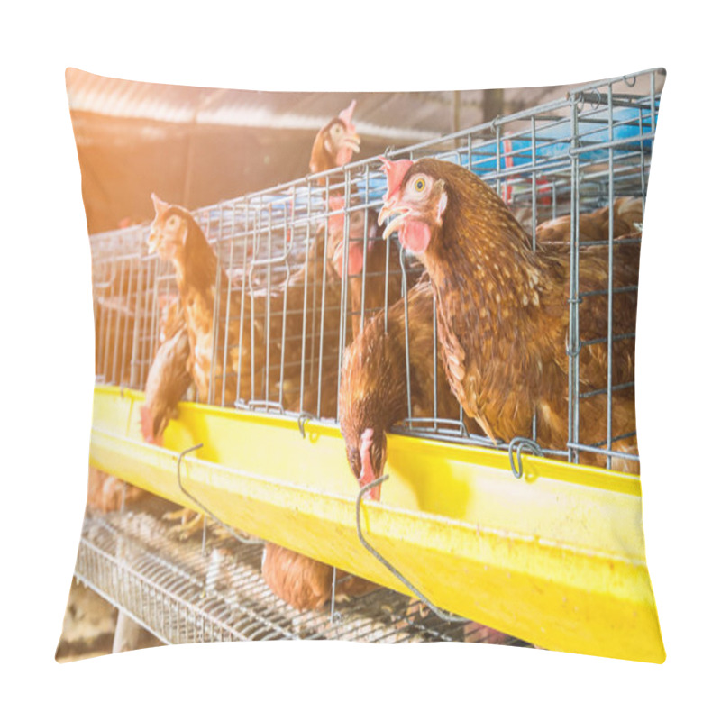 Personality  Laying Chicken Pillow Covers