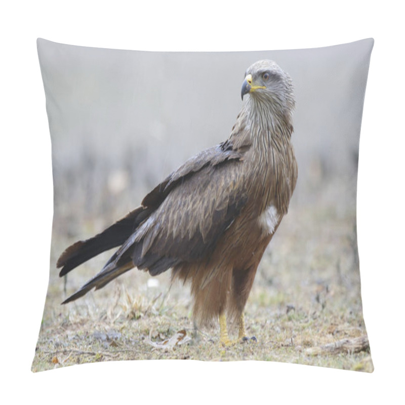 Personality  Black Kite Milvus Migrans Pillow Covers