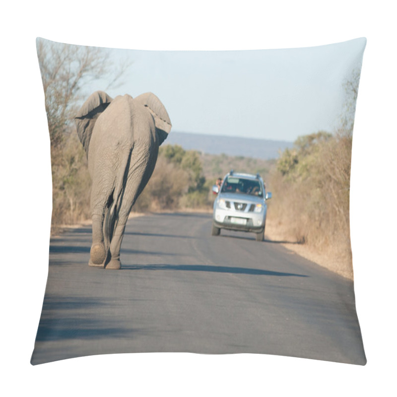 Personality  African Elephant On The Road Pillow Covers