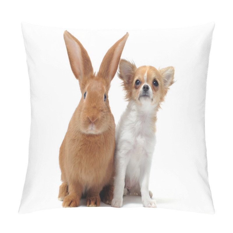 Personality  Puppy Chihuahua And Bunny Pillow Covers