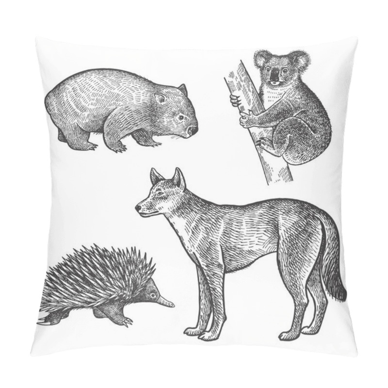 Personality  Koala Bear, Wombat, Echidna, Dingo Dog Hand Drawing Set. Animals Of Australia Series. Vintage Engraving Style. Vector Art Illustration. Black And White. The Object Of A Naturalistic Sketch. Pillow Covers