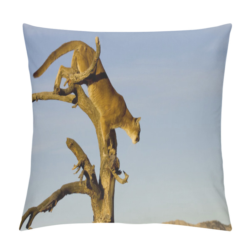 Personality  Mountain Lion Prepares To Jump From A Tree Pillow Covers