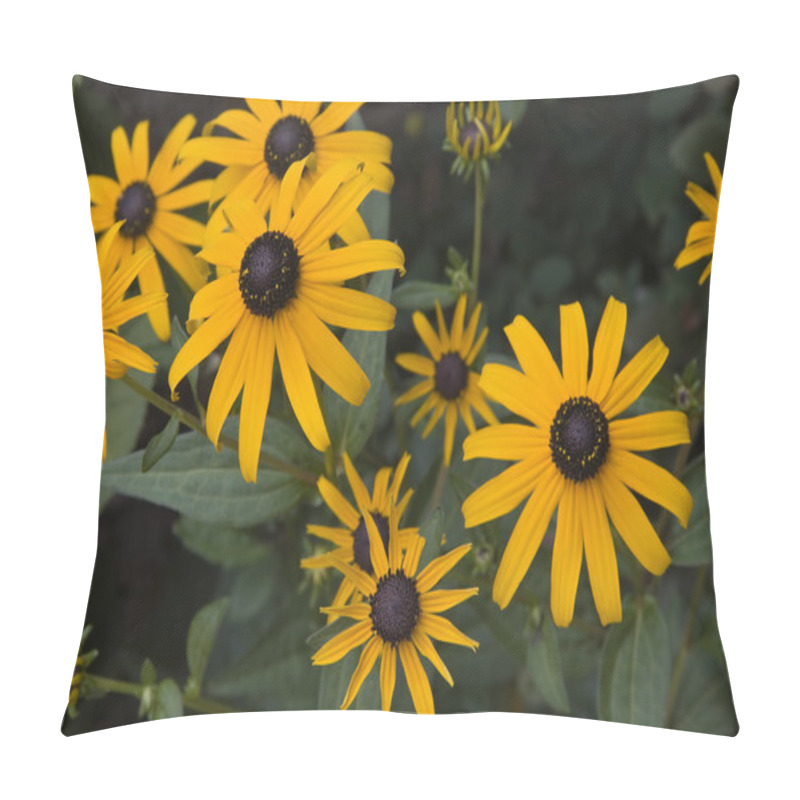 Personality  Black Eyed Susans Pillow Covers