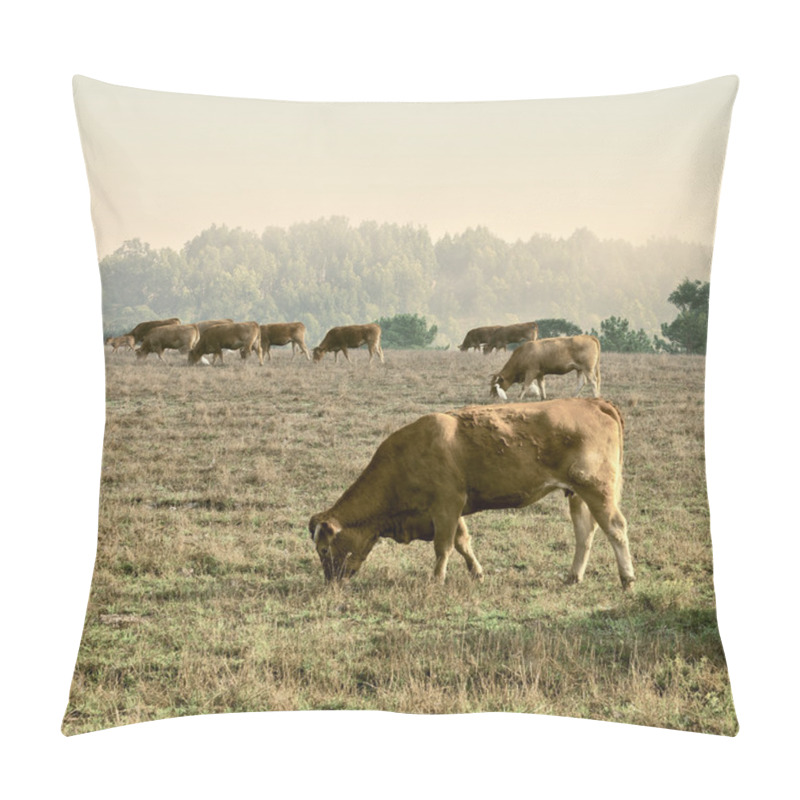 Personality  Cows And Bulls Pillow Covers