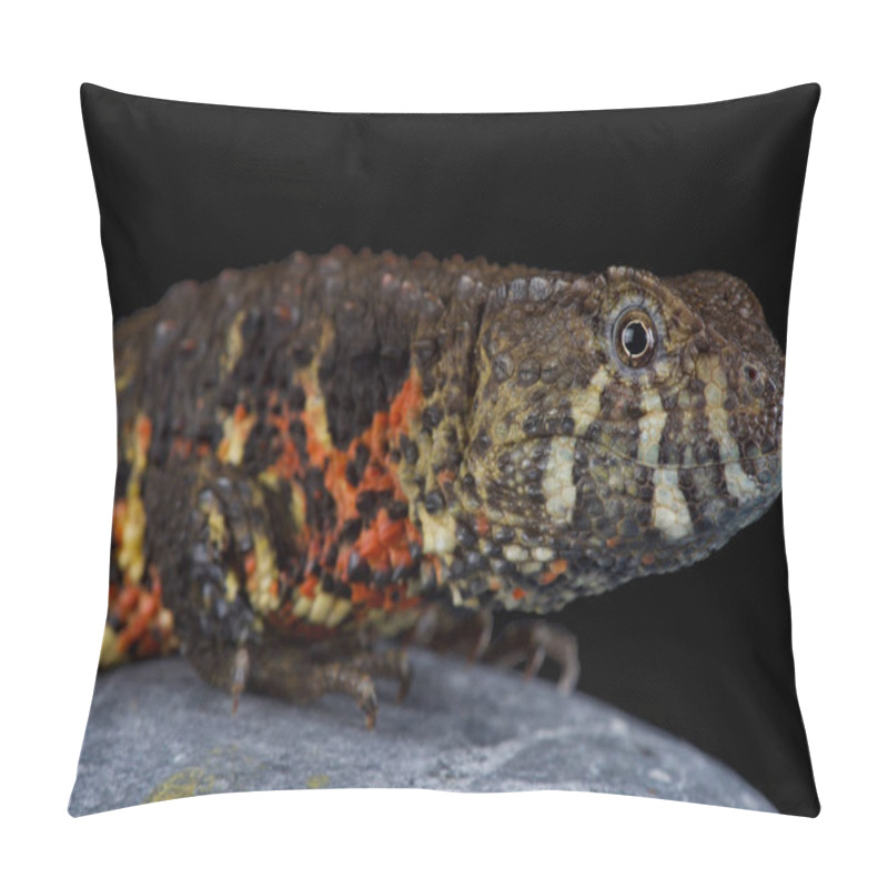 Personality  The Vietnamese Crocodile Lizard (Shinisaurus Crocodilurus Vietnamensis) Was Recently Discovered And Described In 2016. Population Estimate Is 800 Adults. Pillow Covers