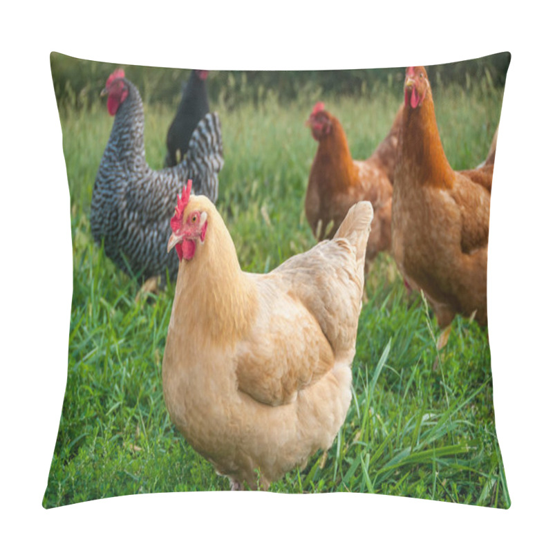 Personality  Some Roaming Chickens Pillow Covers