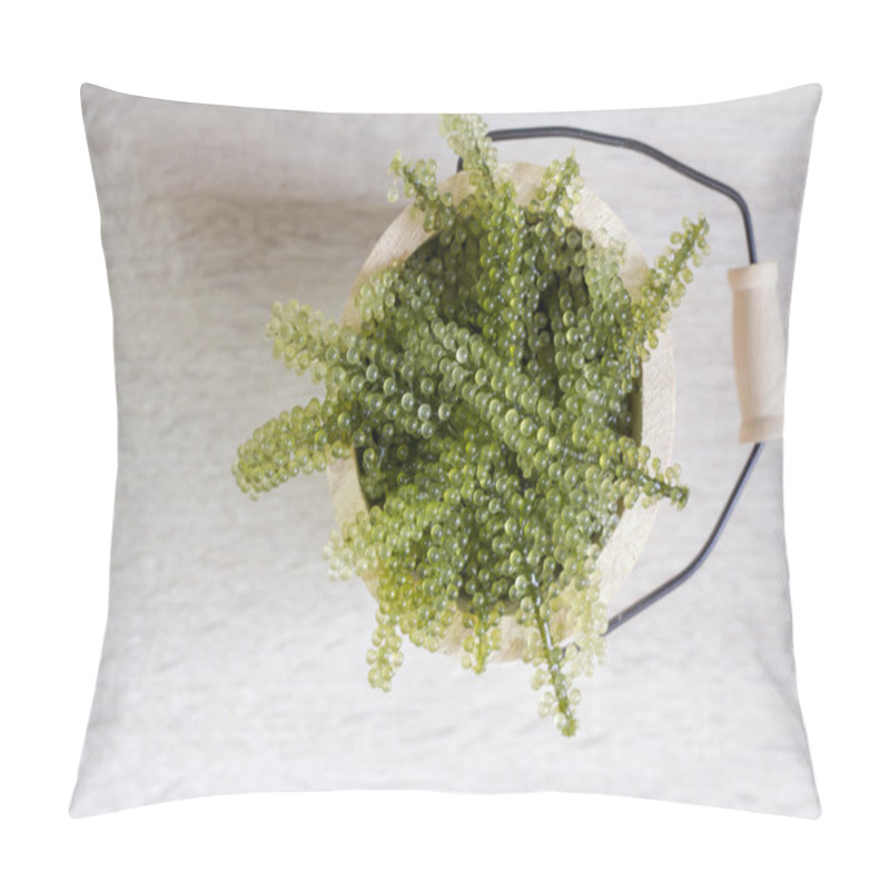 Personality  Sea Grapes In Wooden Tank Pillow Covers