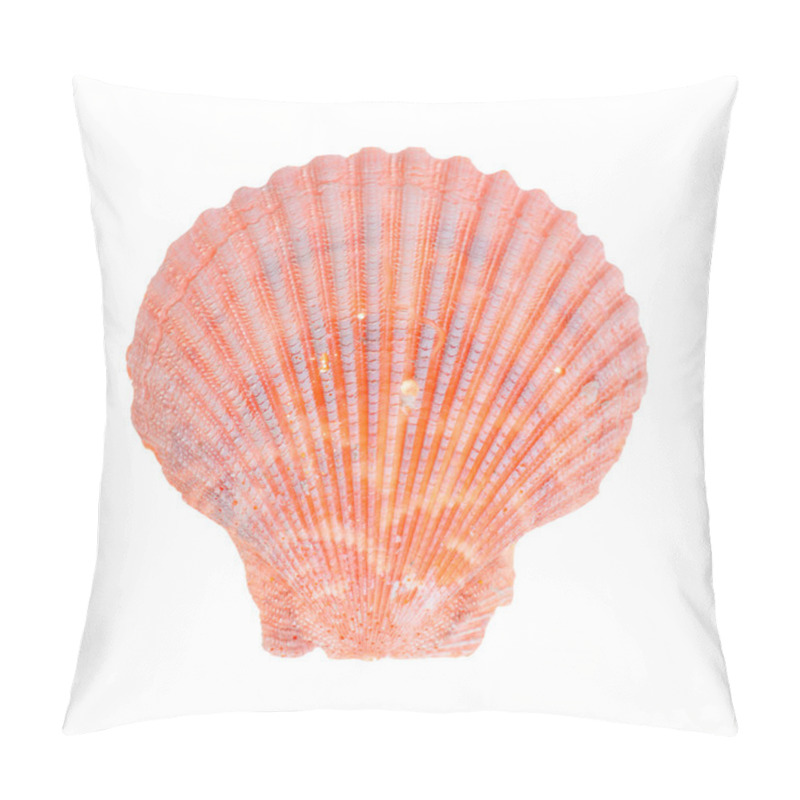 Personality  Sea Shell Pillow Covers