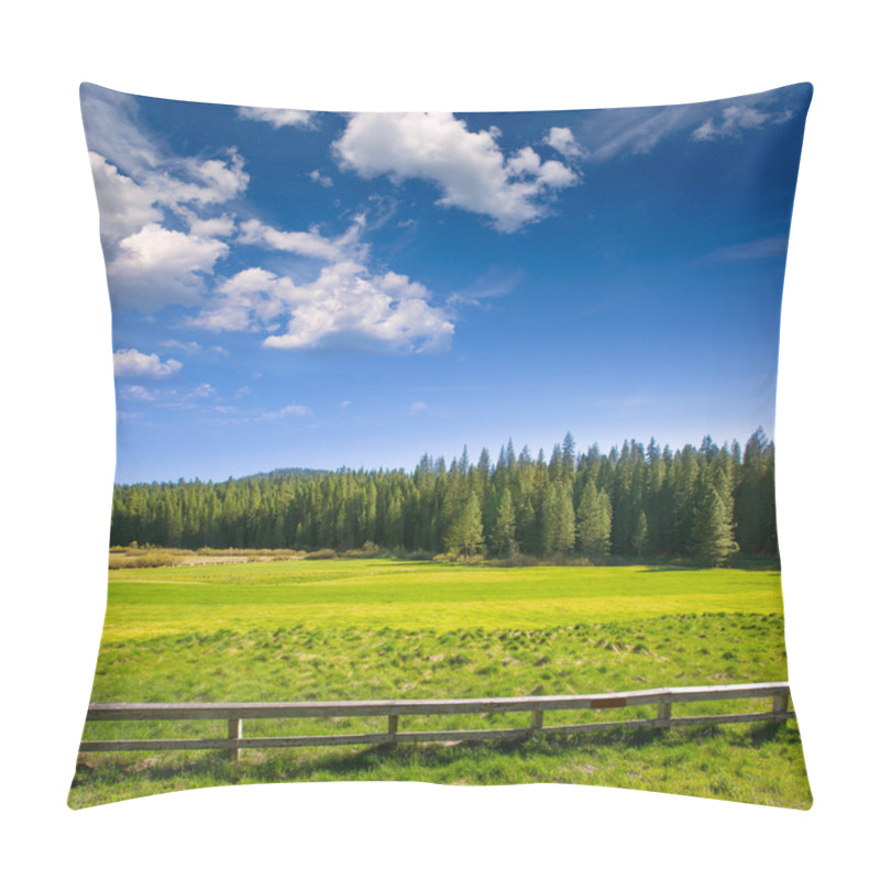 Personality  Yosemite Meadows And Forest In California Pillow Covers