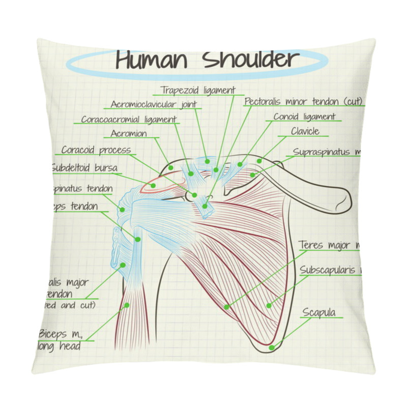 Personality  Anatomy Of The Human Shoulder Detail Pillow Covers