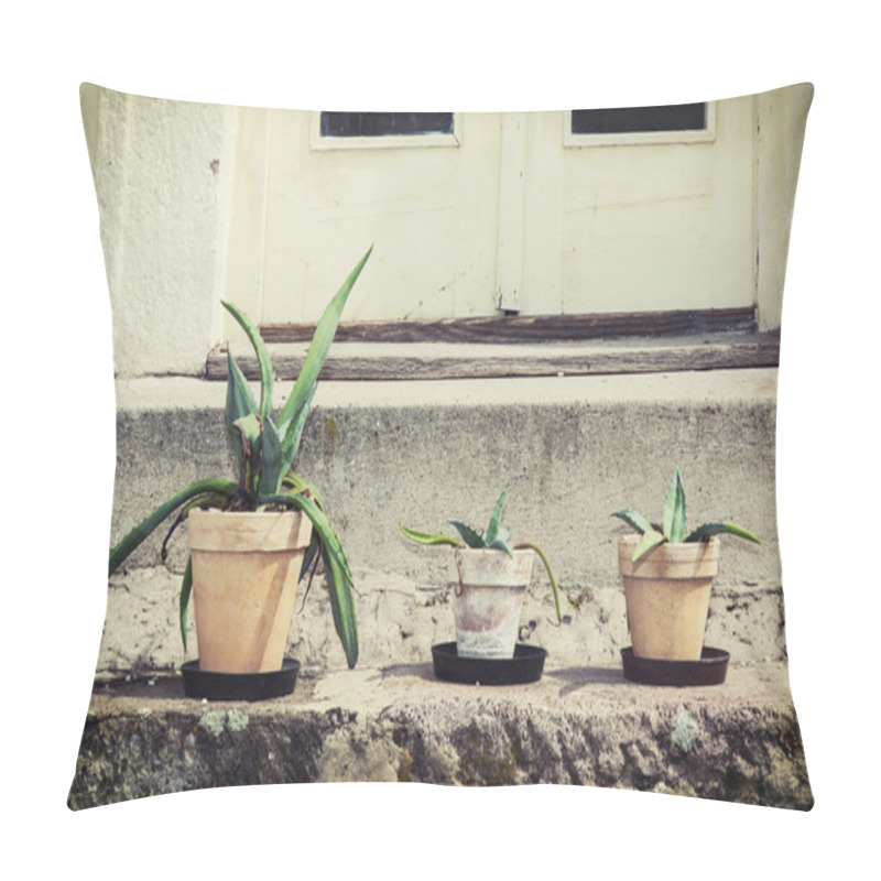 Personality  Three Various Succulent Plants In Flower Pots Pillow Covers