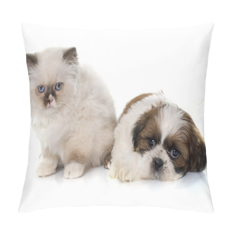 Personality  British Longhair Kitten And Puppy Pillow Covers