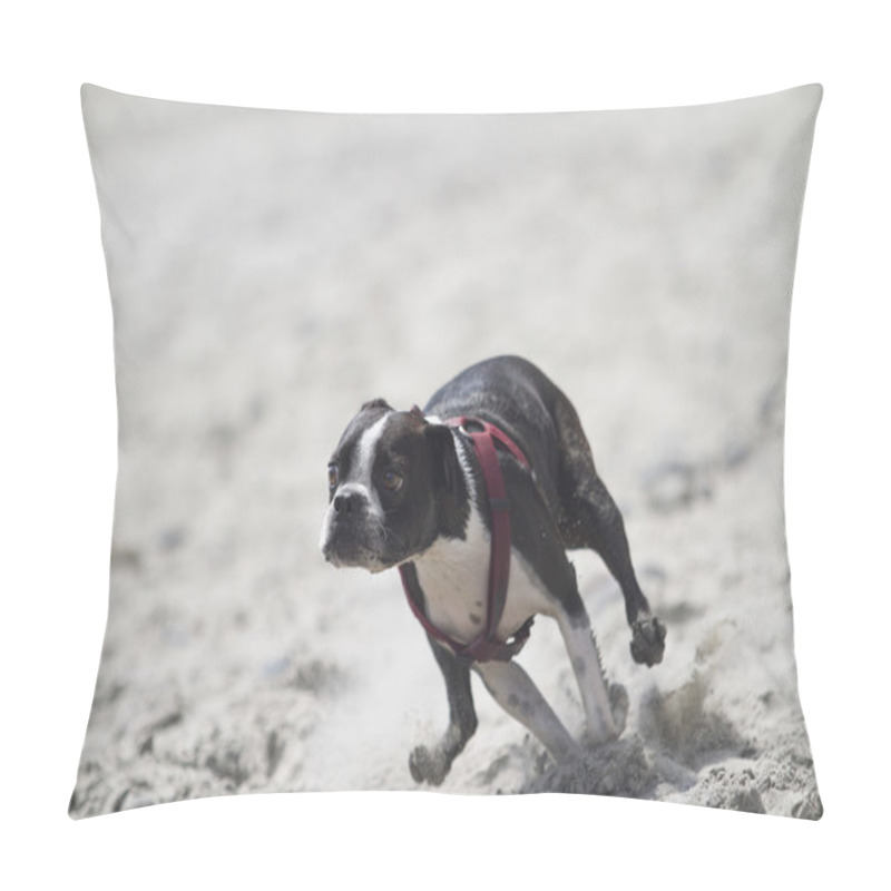 Personality  Racing Terrier Pillow Covers