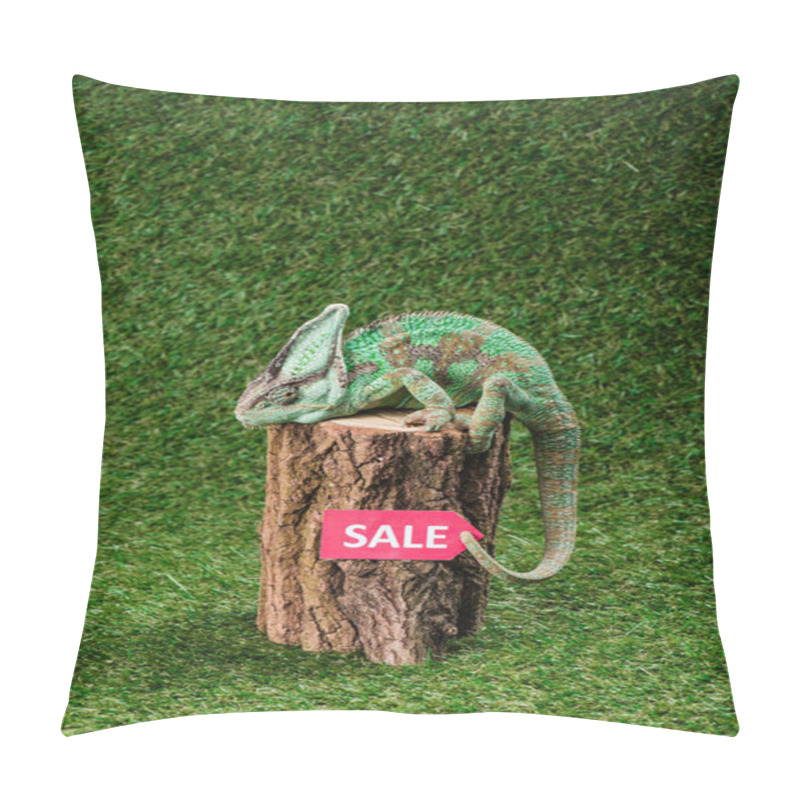 Personality  Side View Of Beautiful Bright Green Chameleon Sitting On Stump With Sale Sign Pillow Covers