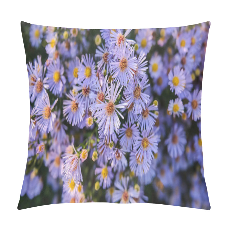 Personality  Purple Flower Aster, Aster Novi-belgii In The Garden. Floral Background Pillow Covers