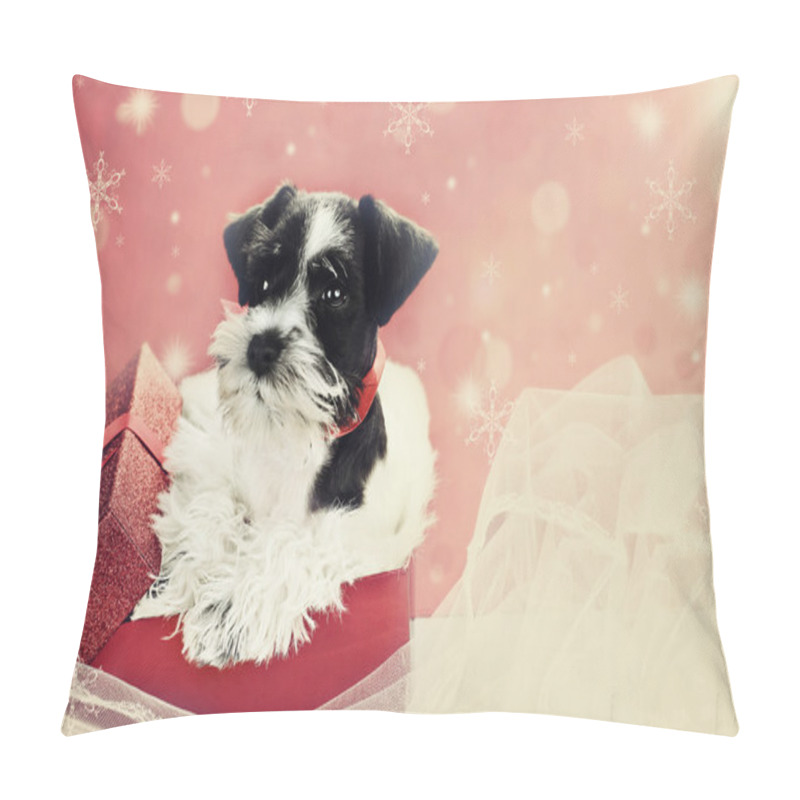 Personality  Retro Puppy In A Christmas Box Pillow Covers