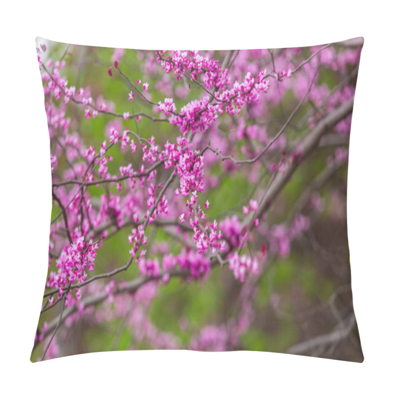 Personality  Purple Flowers Of Cercis Canadensis Pillow Covers