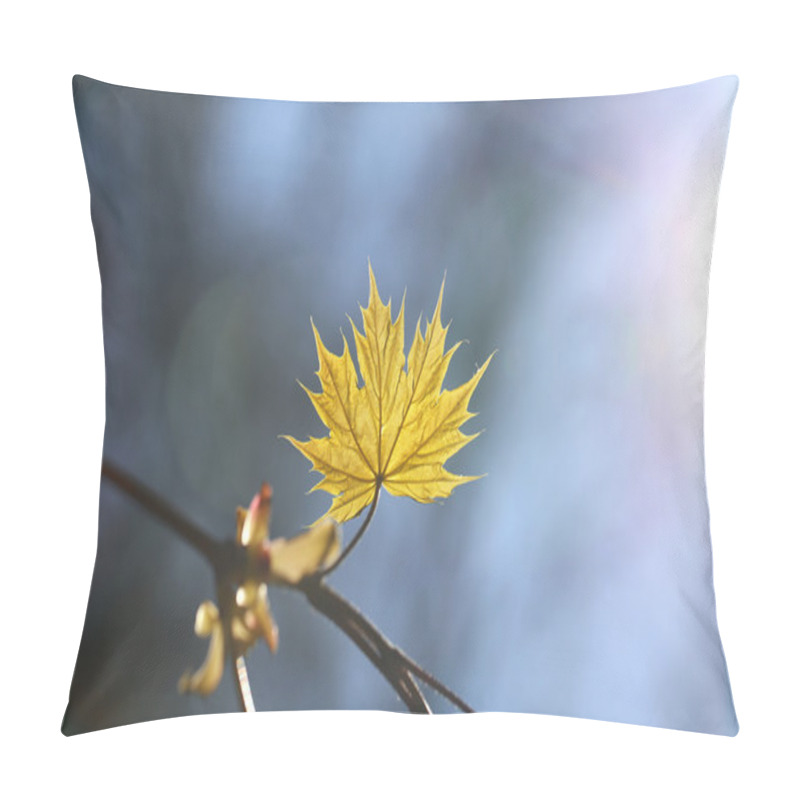 Personality  Young Green Maple Leaf Pillow Covers