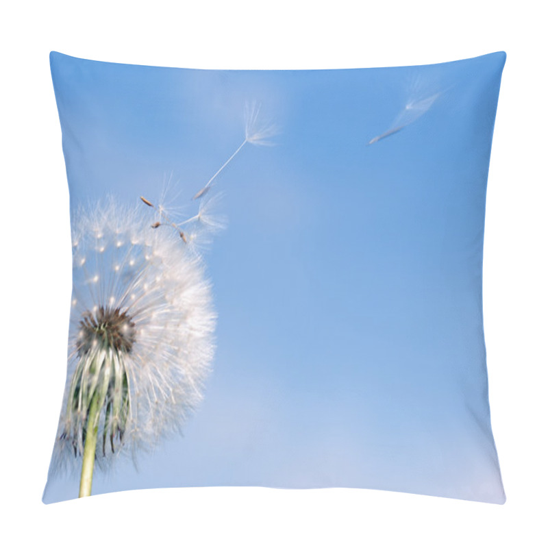 Personality  Dandelion Fly Pillow Covers