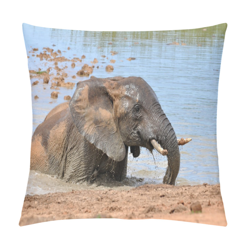 Personality  African Elephant Pillow Covers