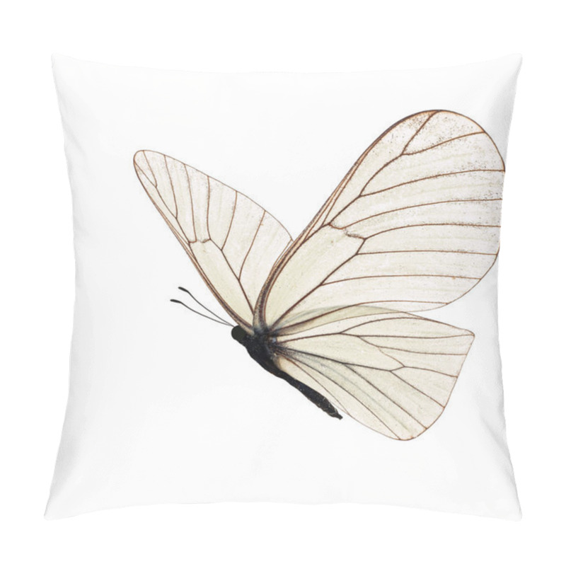 Personality  Beautiful White Butterfly Pillow Covers