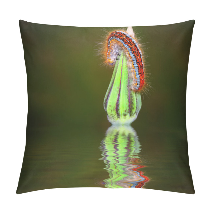 Personality  Nature's Spring Pillow Covers