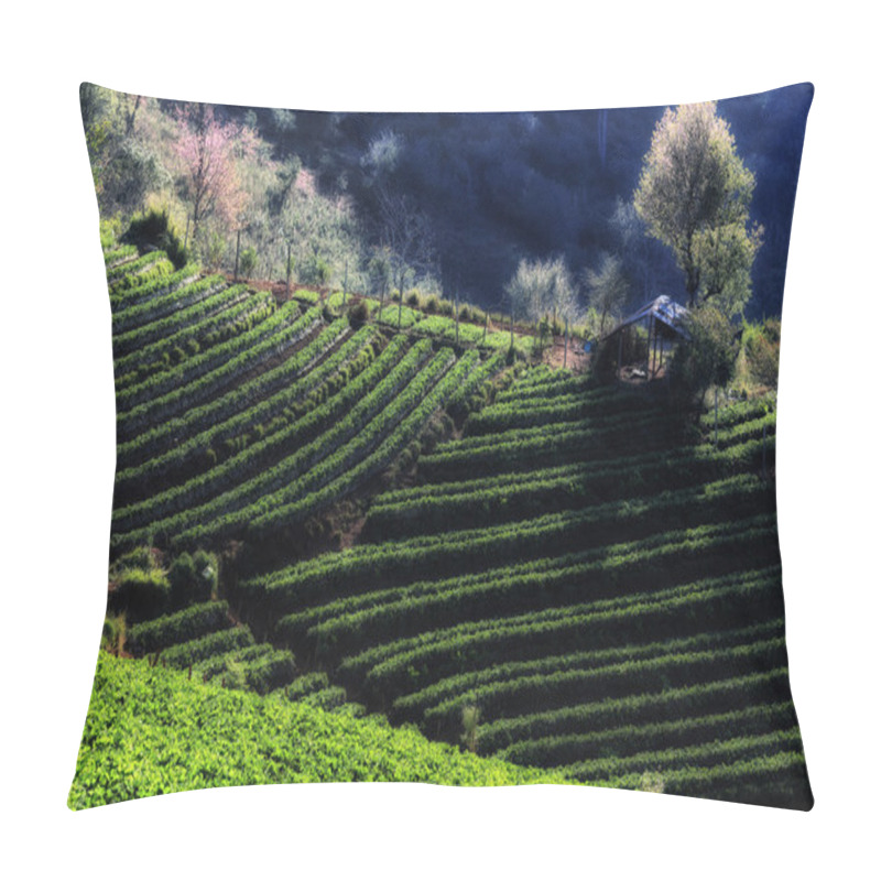 Personality  Strawberry Field Pillow Covers