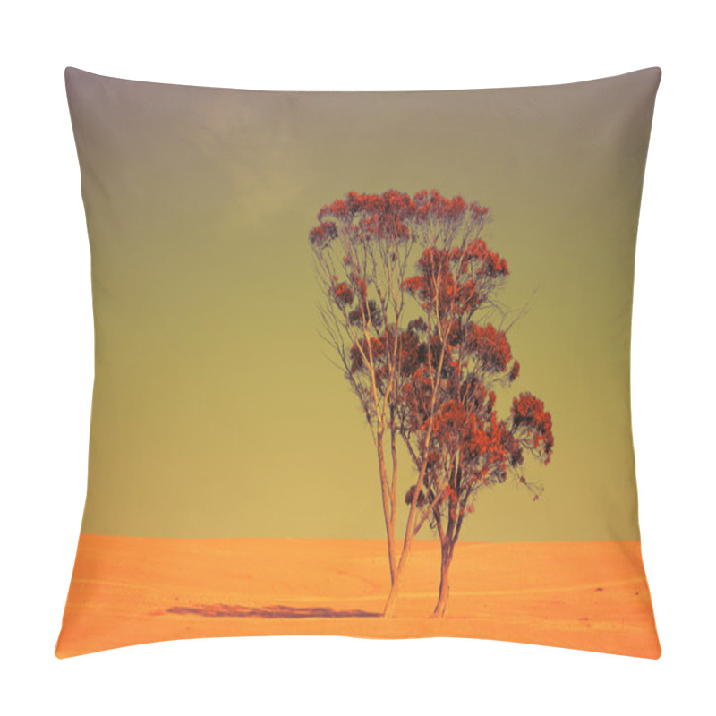 Personality  Lonely Tree In Judean Desert Pillow Covers