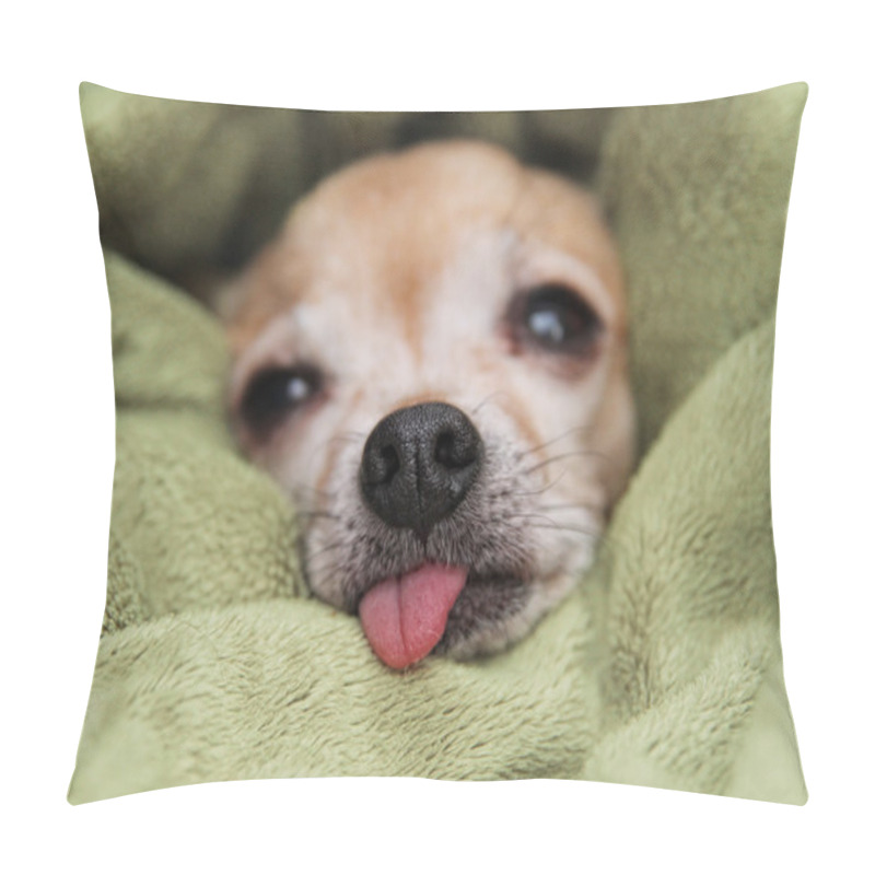 Personality  Chihuahua In Blanket With Tongue Out Pillow Covers