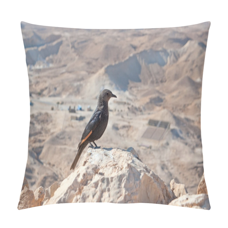 Personality  Female Tristram's Starling Pillow Covers