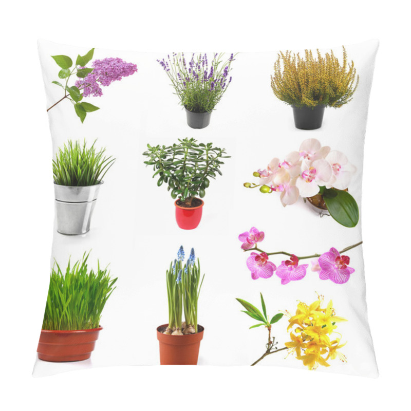 Personality  Collection With Different Flowers And Plants, Isolated On White Pillow Covers