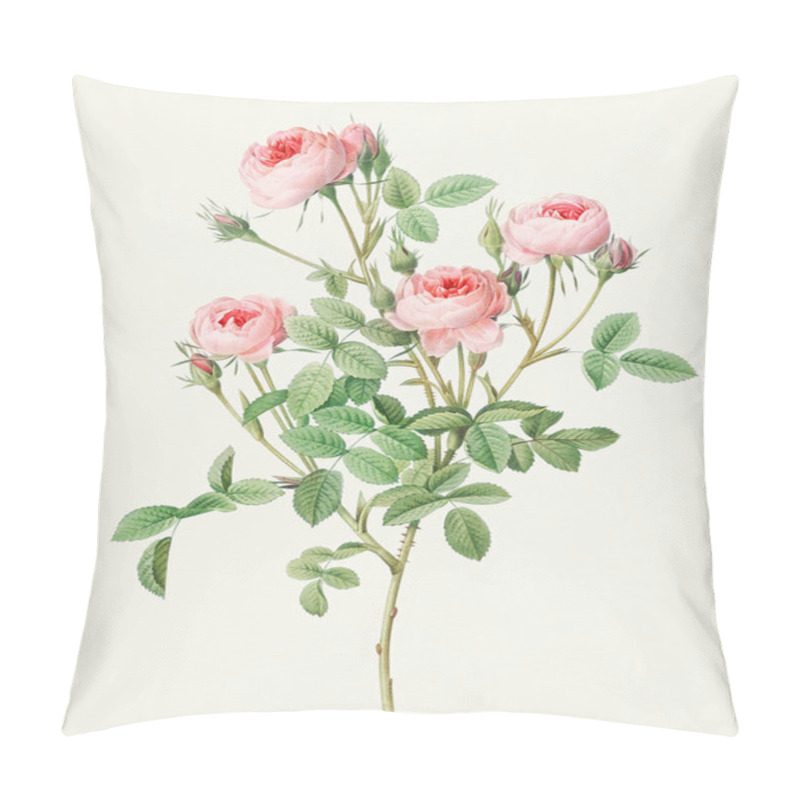 Personality  Beautiful Rose Flower Illustration. Burgundian Rose Pillow Covers