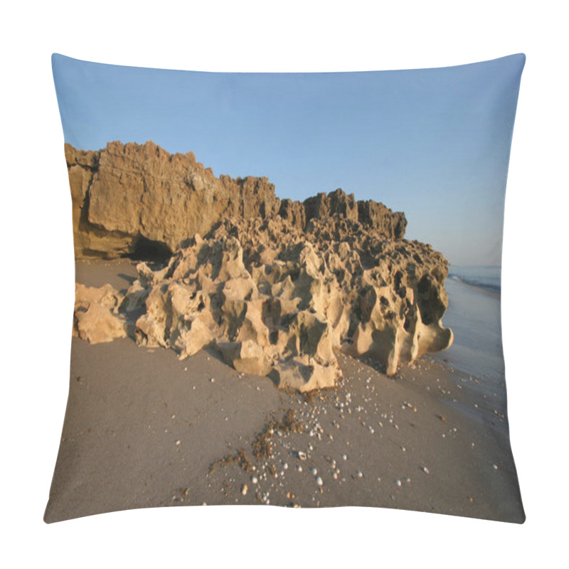 Personality  Blowing Rocks Preserve On Jupiter Island, Florida. Pillow Covers