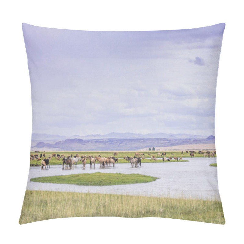 Personality  Animals Grazing On Grass Pillow Covers