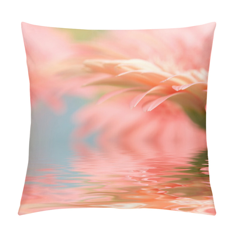 Personality  Pink Daisy-gerbera With Soft Focus Refle Pillow Covers