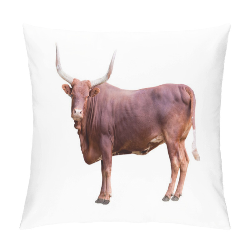 Personality  Brown Bull Isolated On Whit Pillow Covers