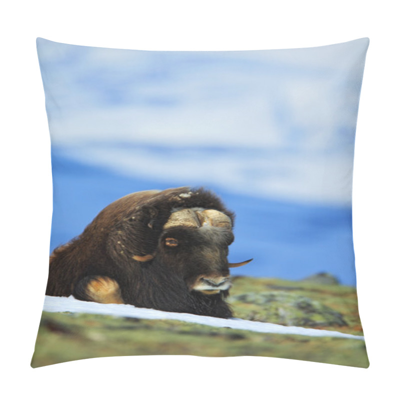 Personality  Musk Ox With Mountain And Snow  Pillow Covers