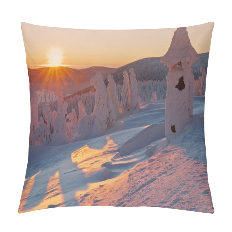 Personality  Winter Wonderland Pillow Covers