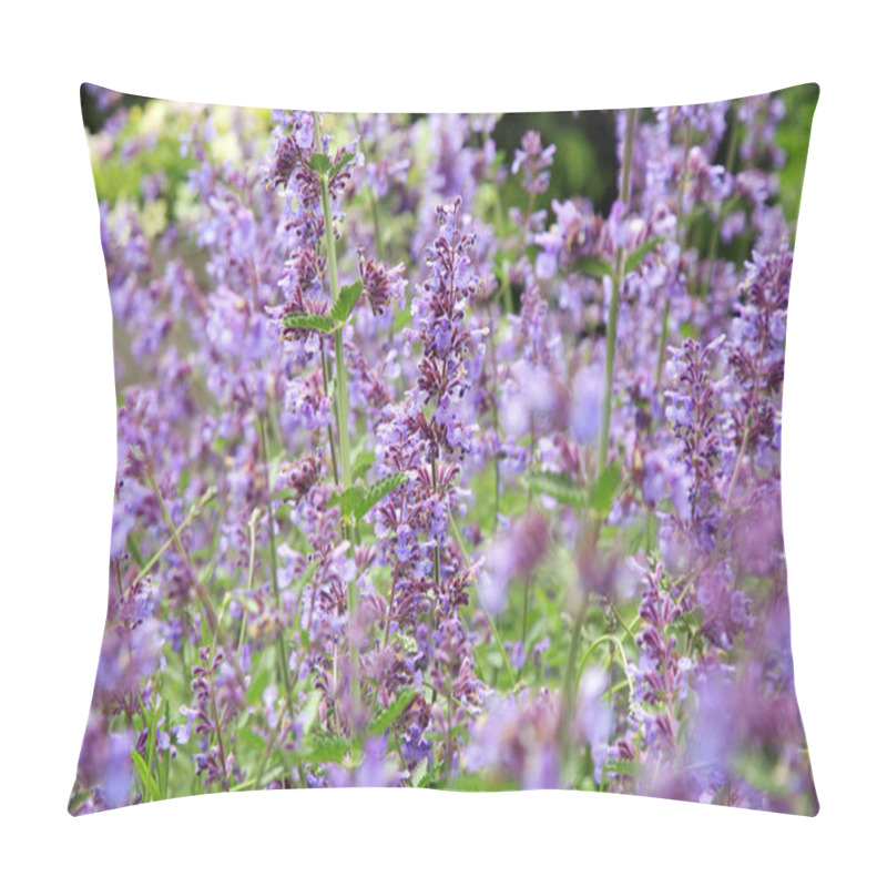 Personality  Catnip Flowers (Nepeta ) Pillow Covers