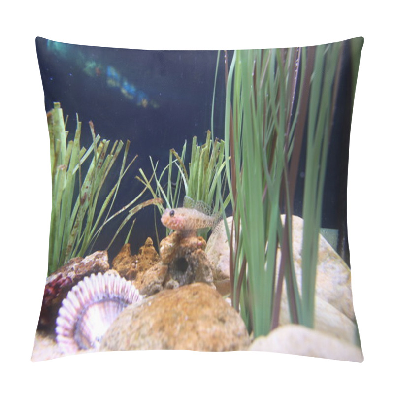 Personality  Corals In Aquarium Pillow Covers