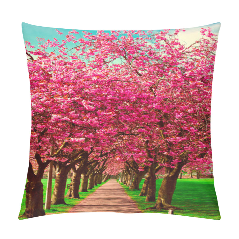 Personality  Walk Path Surrounded With Blossoming Plum Trees Pillow Covers