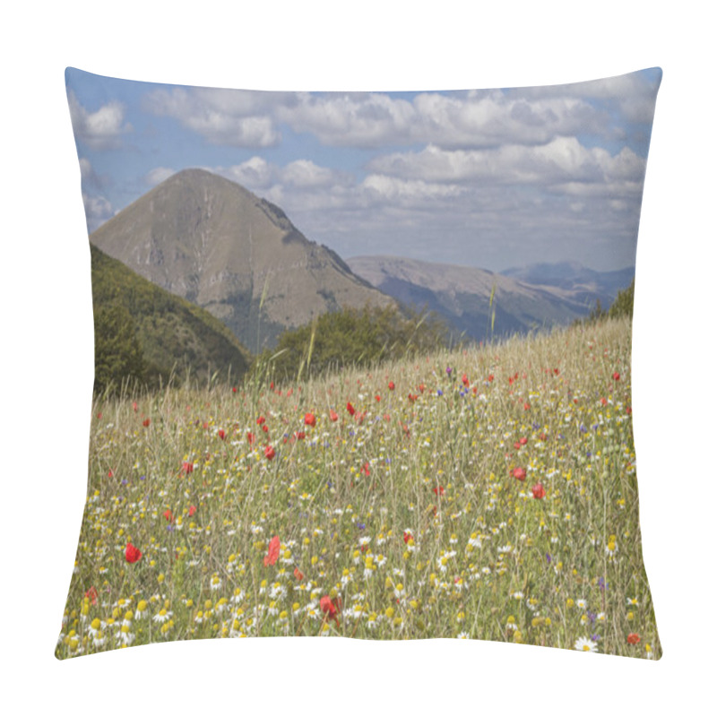 Personality  Flower Carpet In The Sibillini Pillow Covers