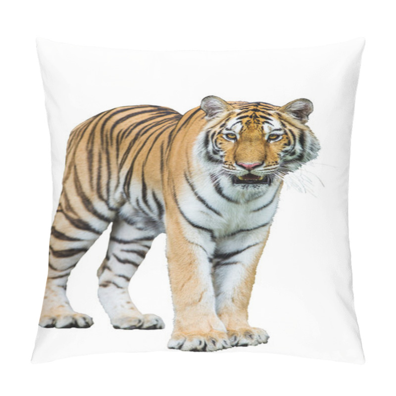 Personality  Tiger Isolated On White With Clipping Path Pillow Covers