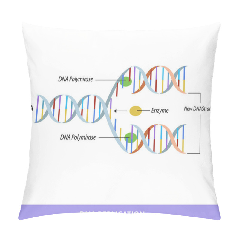 Personality  DNA Replication. Education Info Graphic Pillow Covers