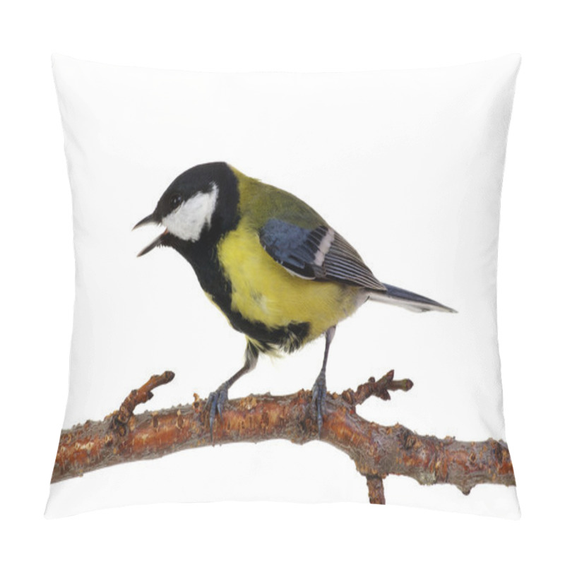 Personality  Great Tit On White Pillow Covers