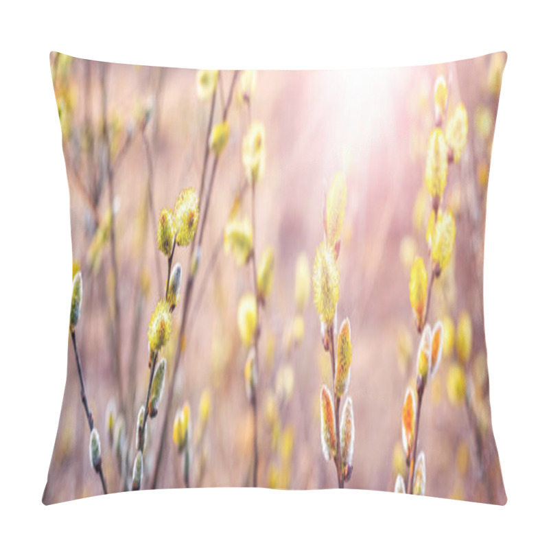 Personality  Willow Branches With Fluffy Catkins In The Forest On A Blurred Background Pillow Covers