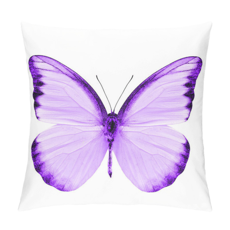 Personality  Beautiful Purple Butterfly Isolated On White Background Pillow Covers