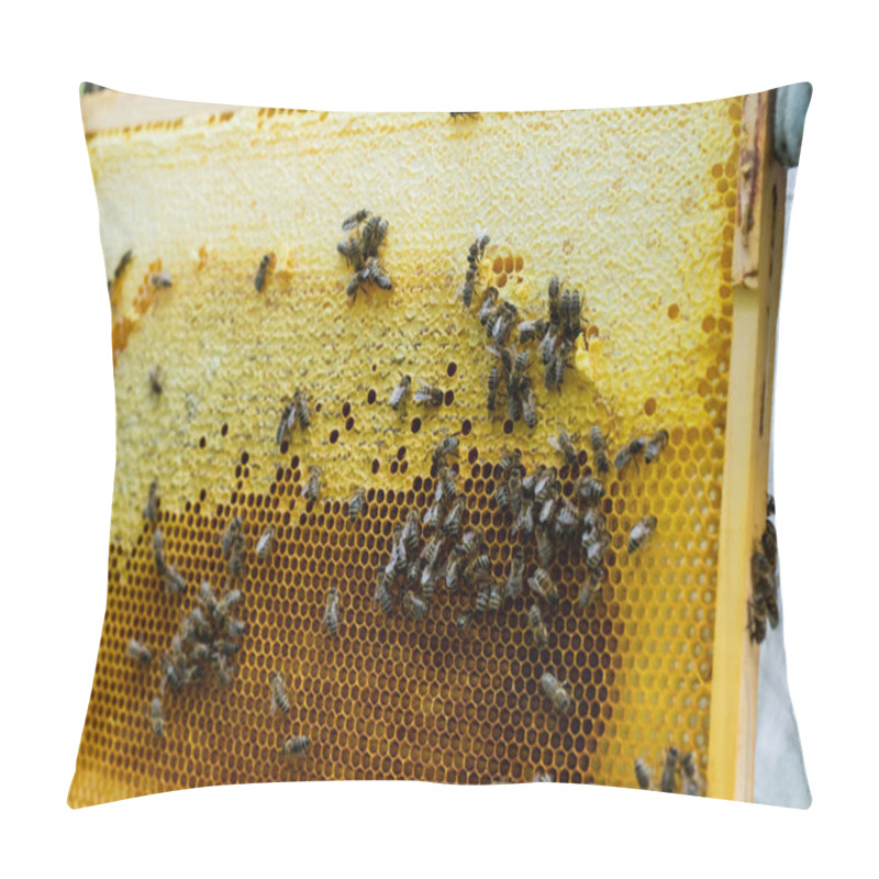 Personality  Close Up View Of Bees On Honeycomb Frames With Honey  Pillow Covers